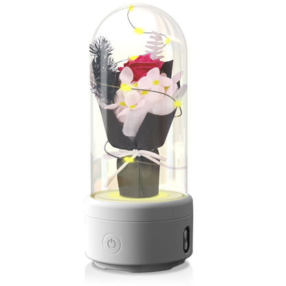 BloomSound: Bluetooth Speaker in Glass Dome