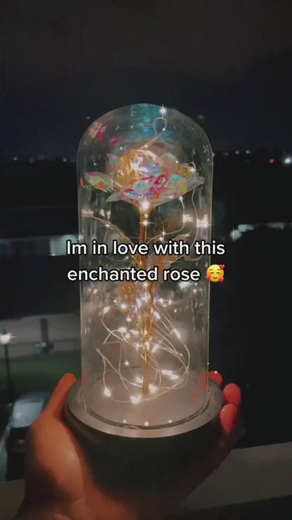 Galaxy Rose in Dome