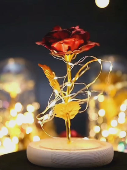 Eternal Rose in Dome